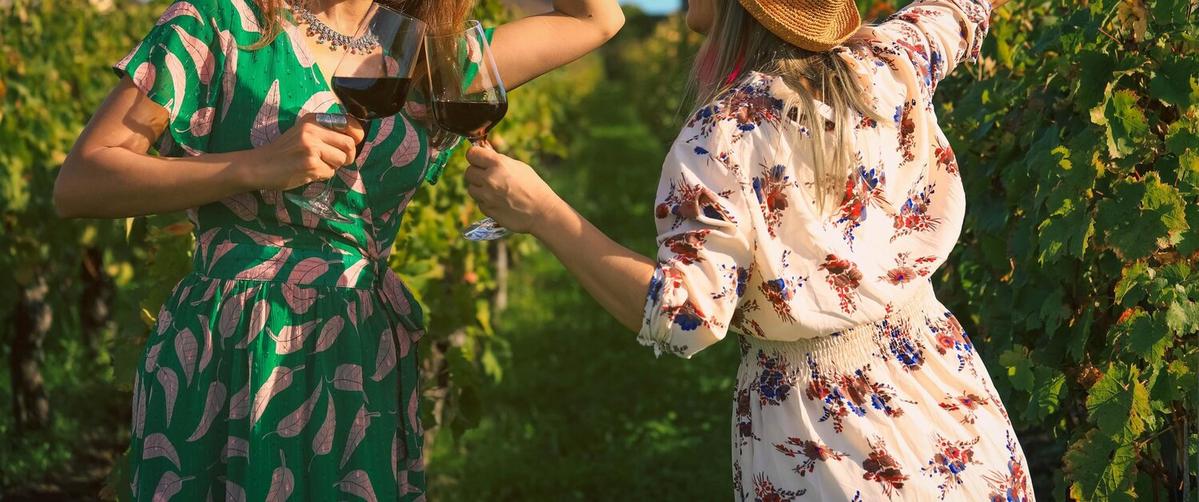 The Best Wine Regions to Visit for Tastings and Tours